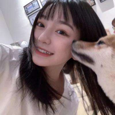 圣灵之光手游下载